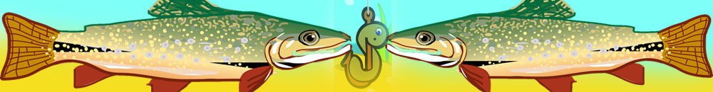 Rybičky rybáři jedou…..