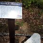 IMG_20210520_145250