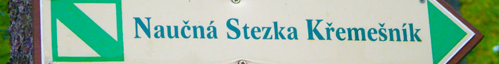 Běh školou 2021